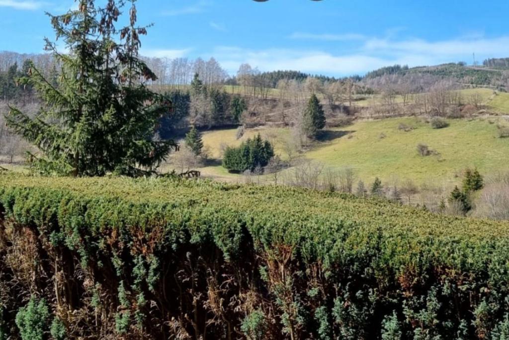 Ferienwohnung Aartalblick Willingen Виллинген Экстерьер фото