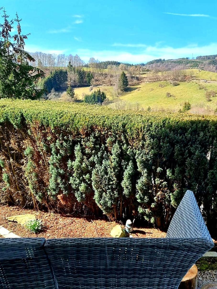 Ferienwohnung Aartalblick Willingen Виллинген Экстерьер фото